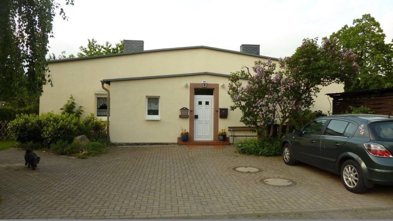 Pension Rosenvilla Sedlitz Exterior foto